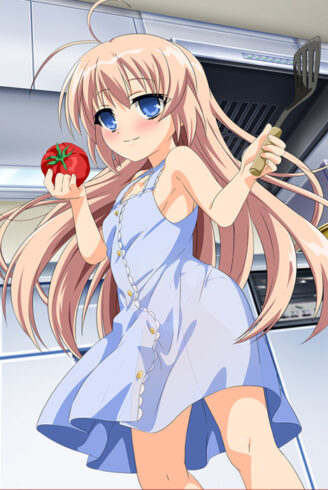 Hajimete no Orusuban Hajimete no Orusuban