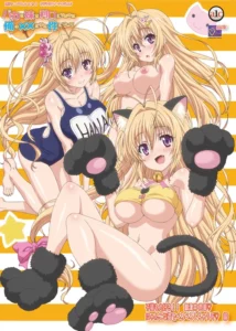 Baka na Imouto wo Rikou ni Suru no wa Ore no xx dake na Ken ni Tsuite