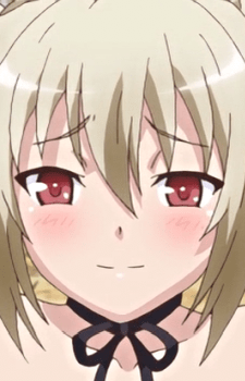 Iris Iris
