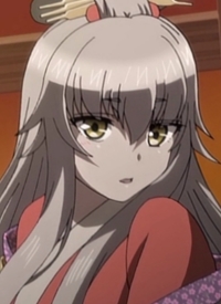 Ginko Ginko